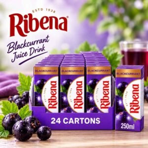 Ribena Blackcurrant Juice Drink 24 x 250ml Multipack Real Fruit UK